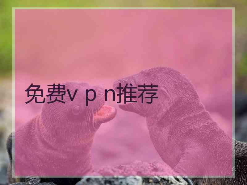 免费v p n推荐