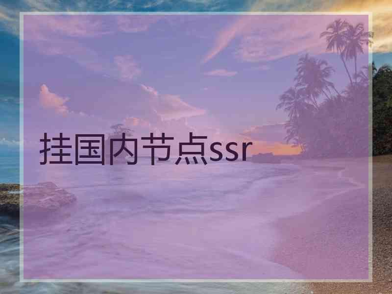 挂国内节点ssr