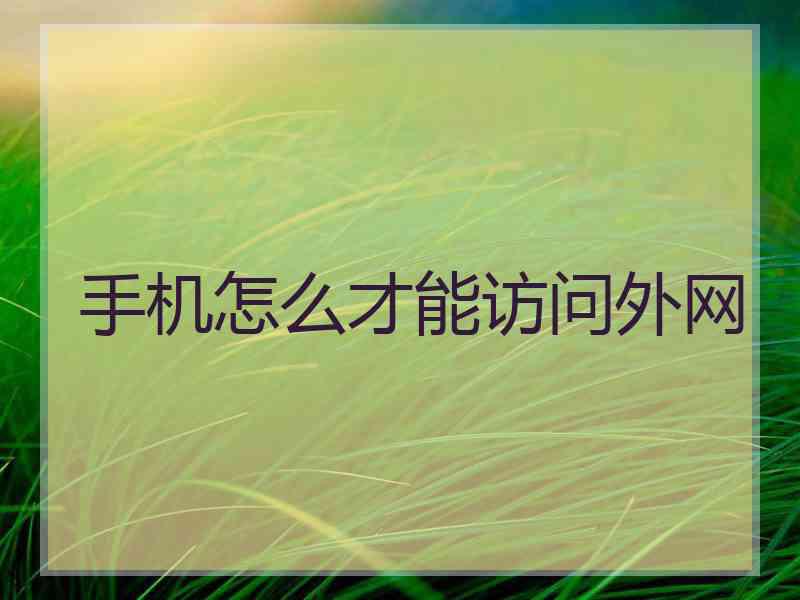 手机怎么才能访问外网