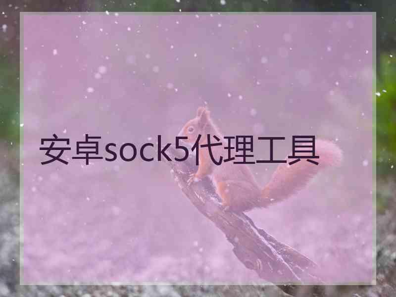 安卓sock5代理工具