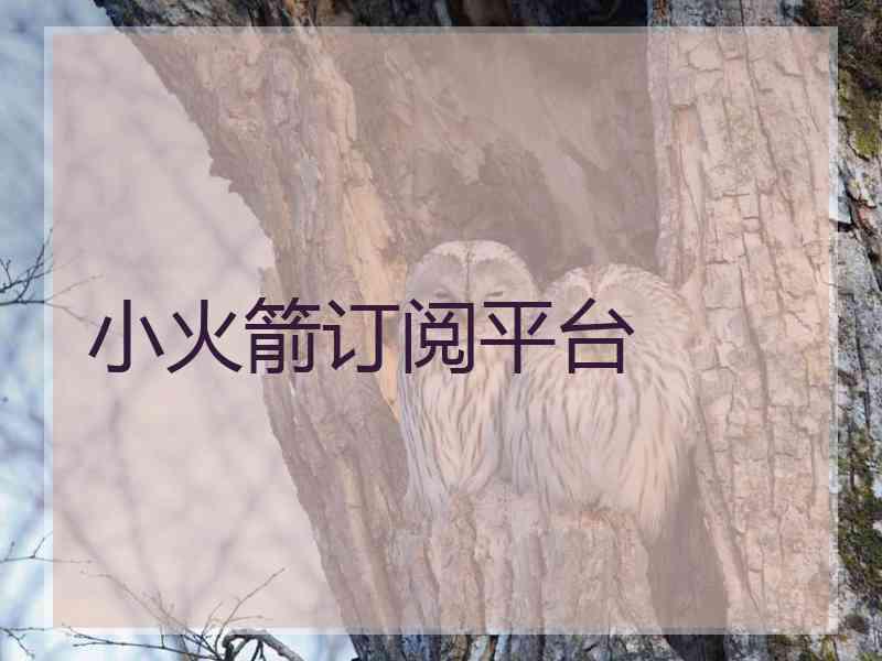 小火箭订阅平台