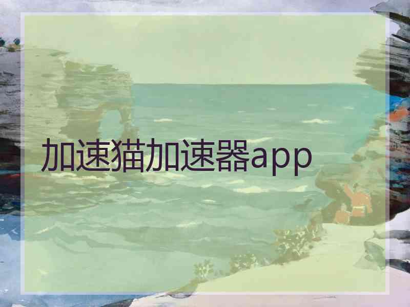 加速猫加速器app