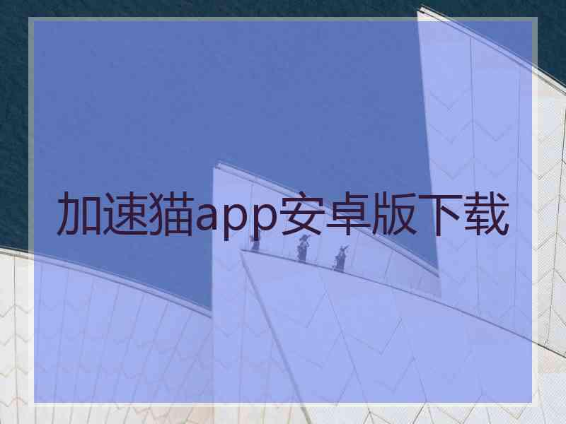 加速猫app安卓版下载