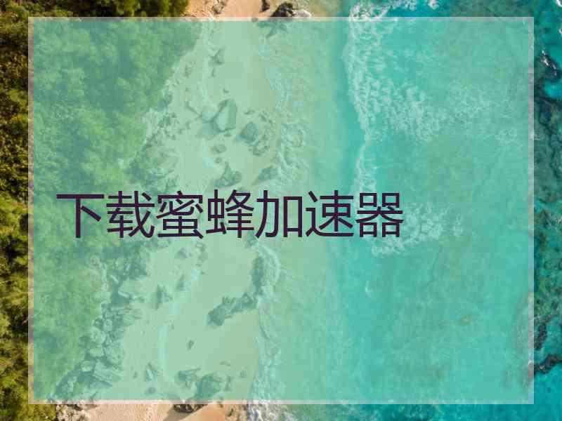 下载蜜蜂加速器