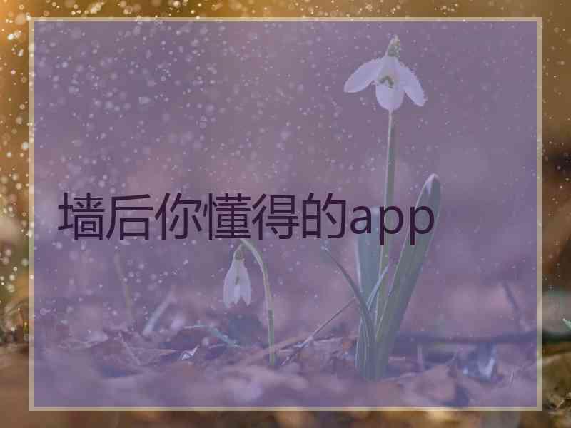 墙后你懂得的app
