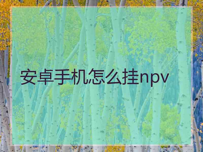安卓手机怎么挂npv