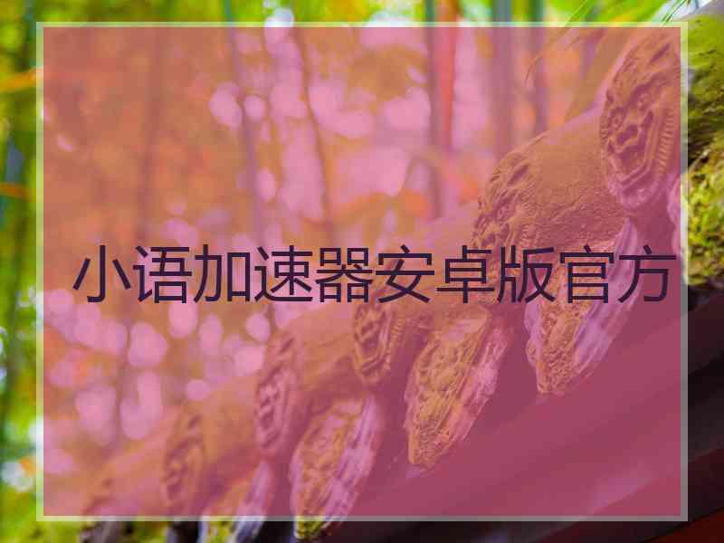 小语加速器安卓版官方