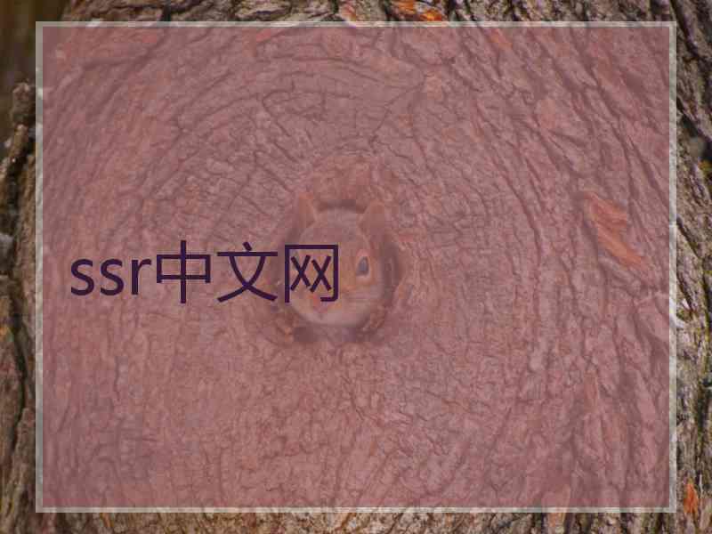 ssr中文网
