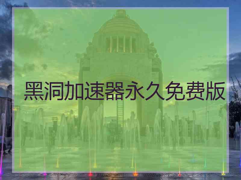 黑洞加速器永久免费版