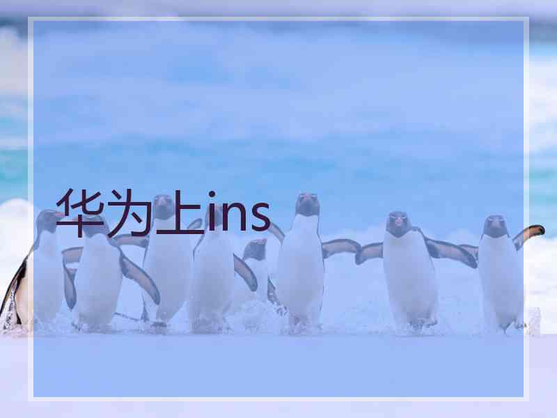 华为上ins