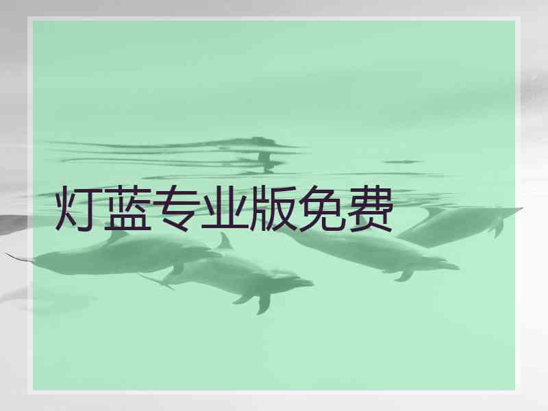 灯蓝专业版免费