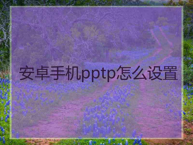 安卓手机pptp怎么设置
