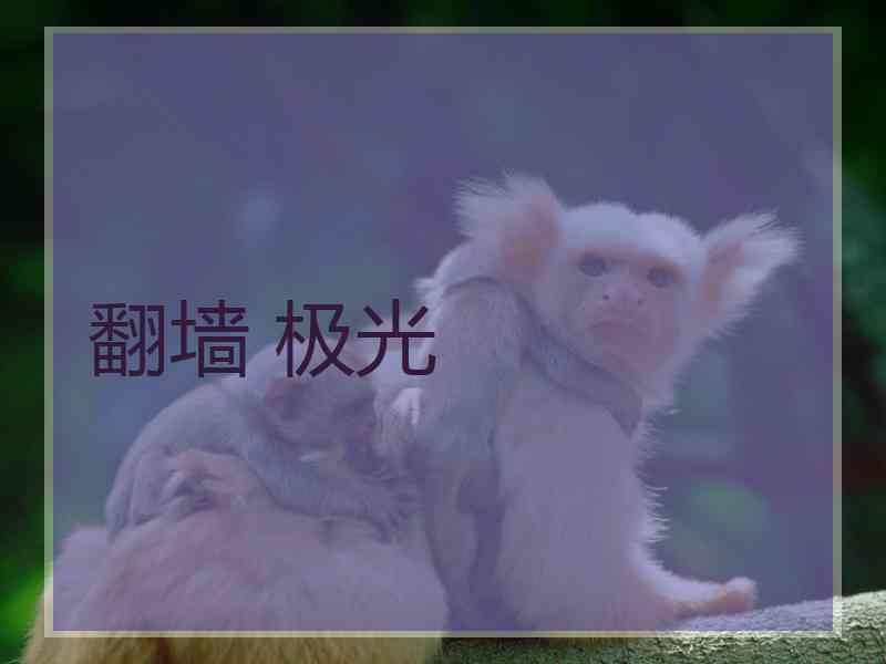 翻墙 极光