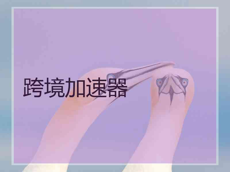 跨境加速器
