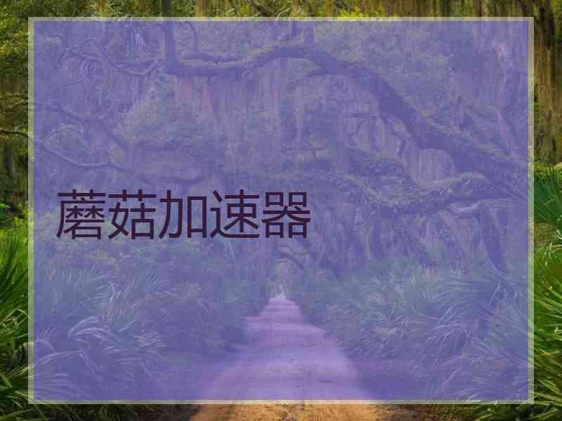 蘑菇加速器