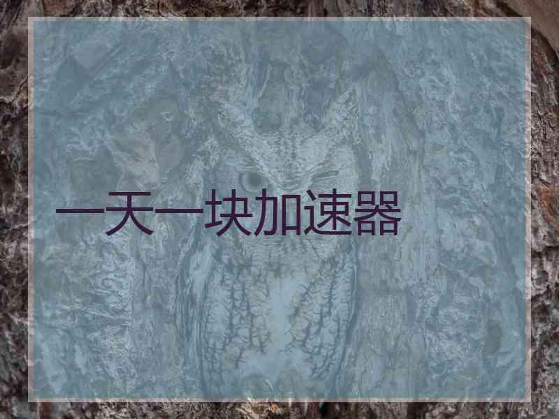 一天一块加速器