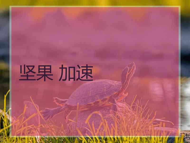 坚果 加速