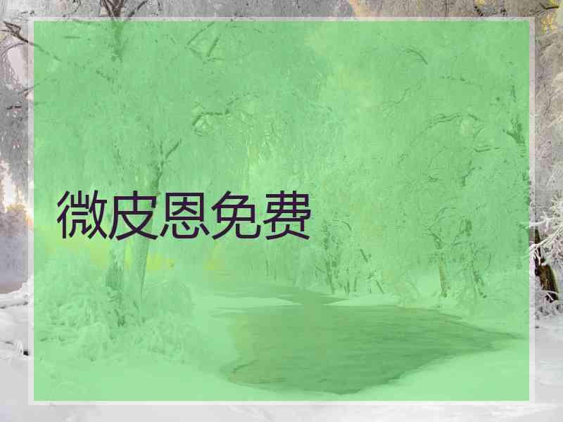 微皮恩免费