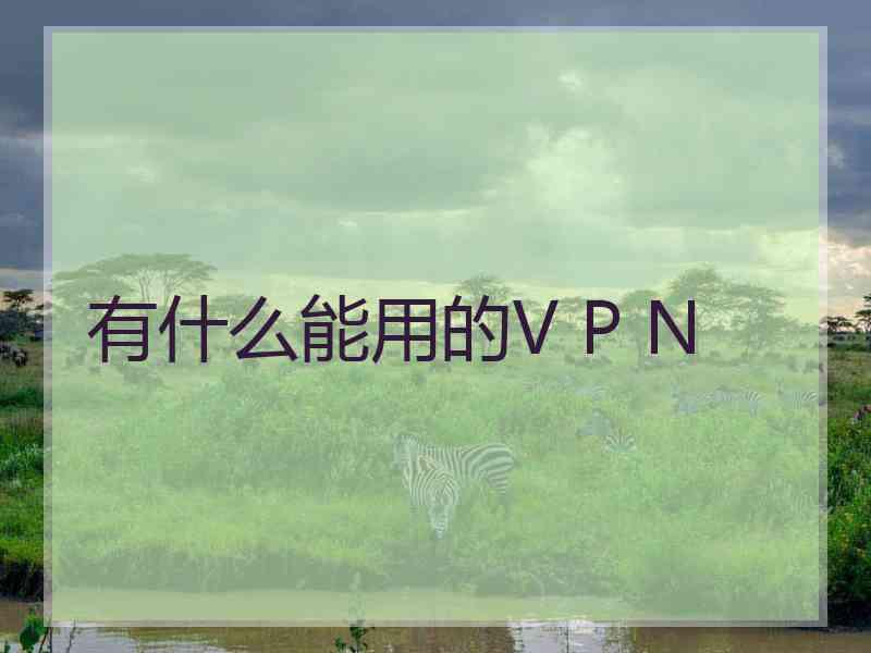 有什么能用的V P N
