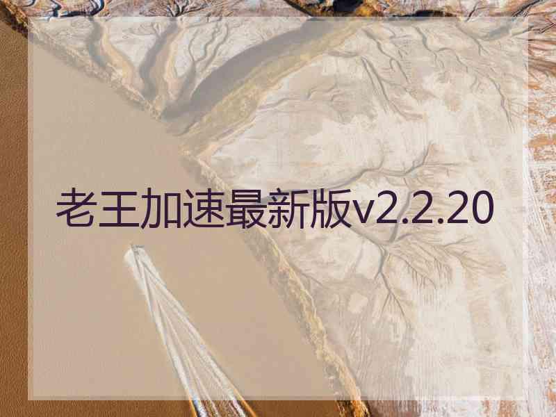 老王加速最新版v2.2.20