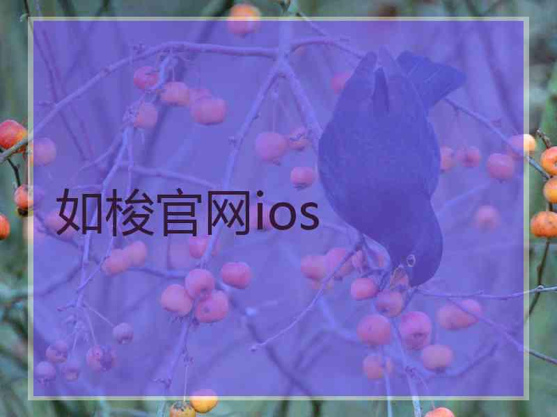 如梭官网ios