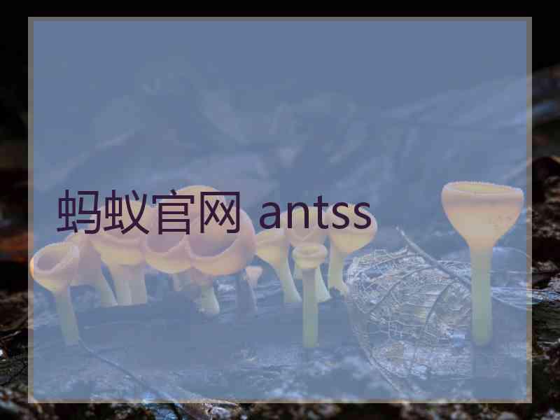蚂蚁官网 antss