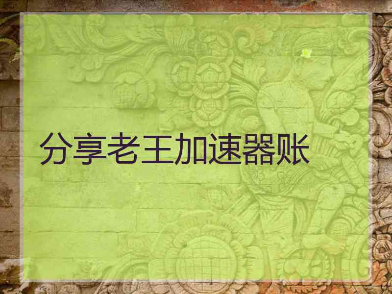 分享老王加速器账