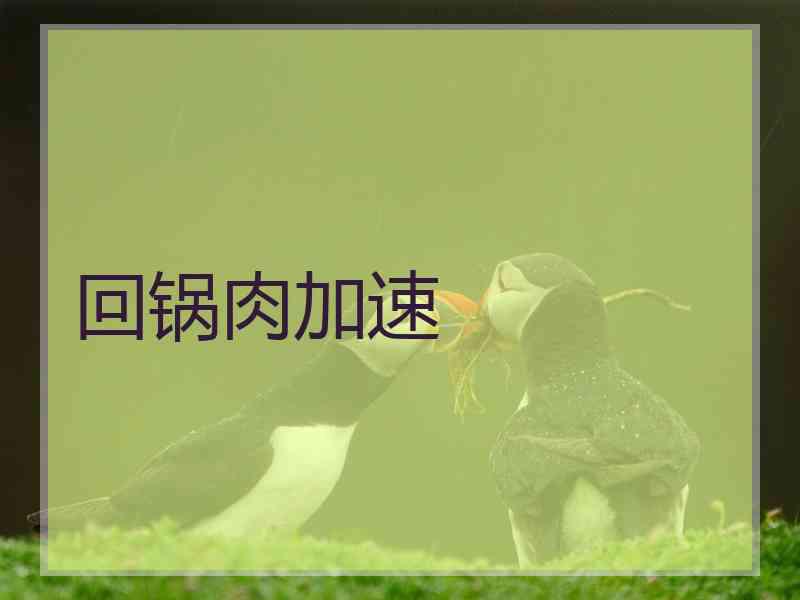 回锅肉加速