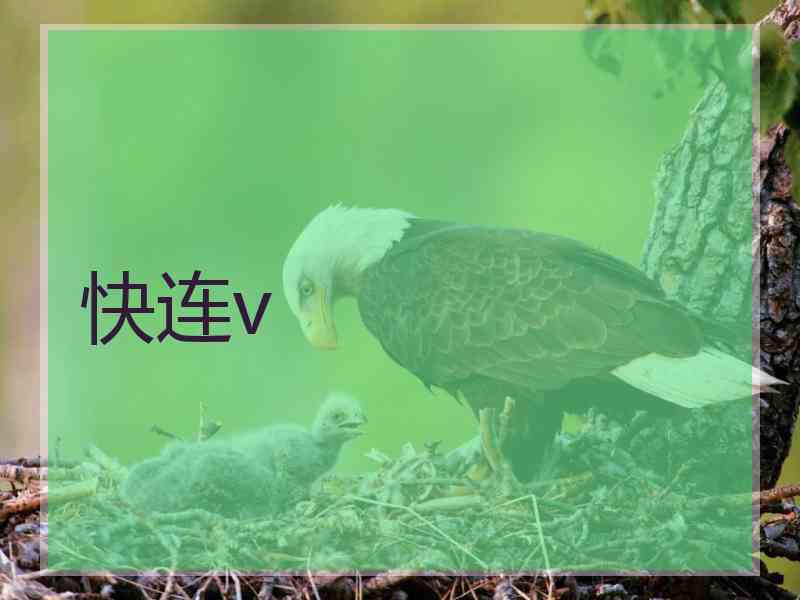 快连v