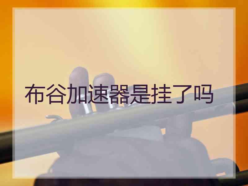 布谷加速器是挂了吗