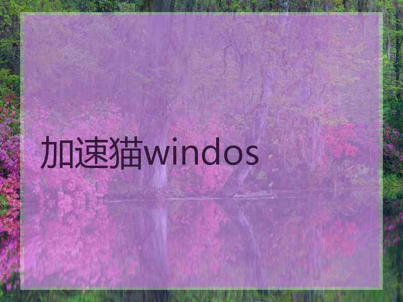 加速猫windos