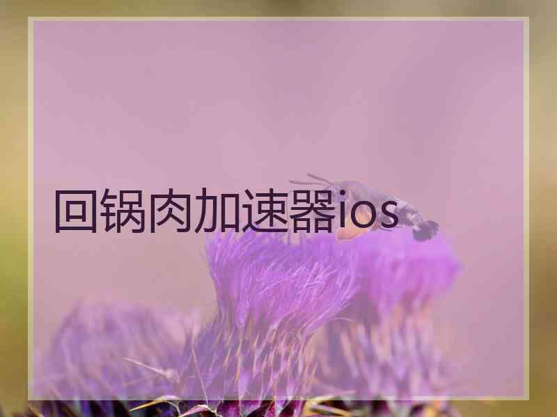 回锅肉加速器ios