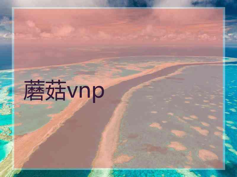 蘑菇vnp