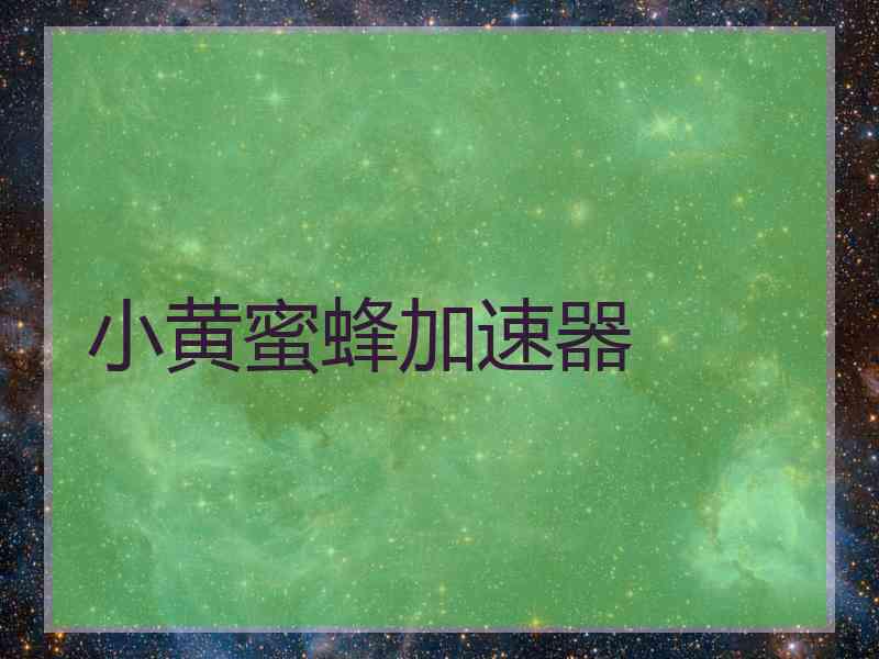 小黄蜜蜂加速器