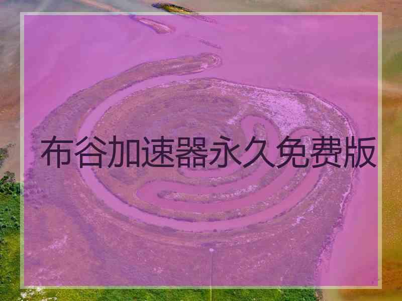 布谷加速器永久免费版