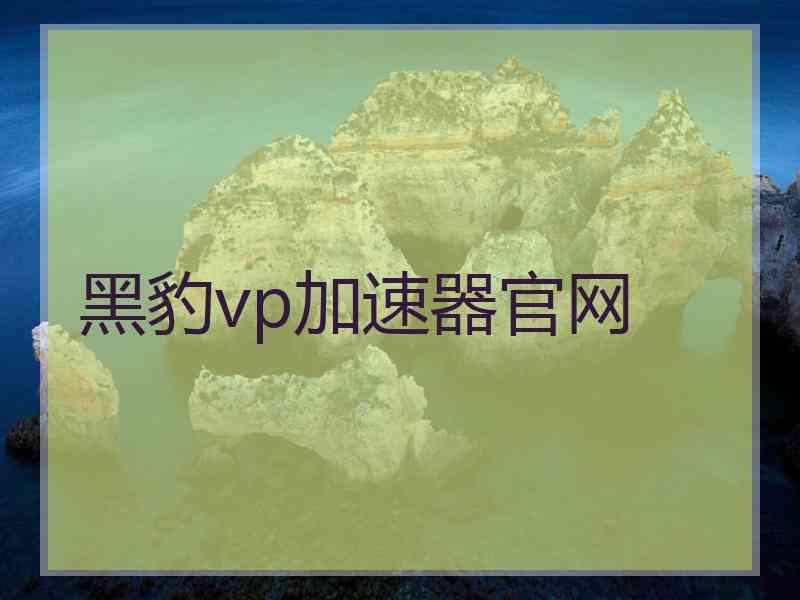 黑豹vp加速器官网