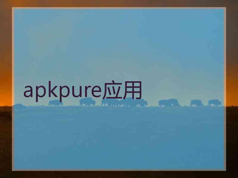 apkpure应用