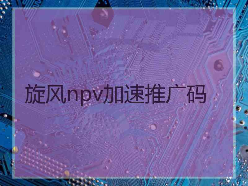 旋风npv加速推广码