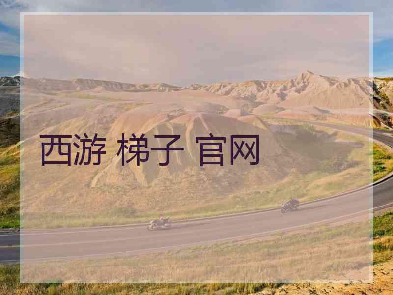 西游 梯子 官网