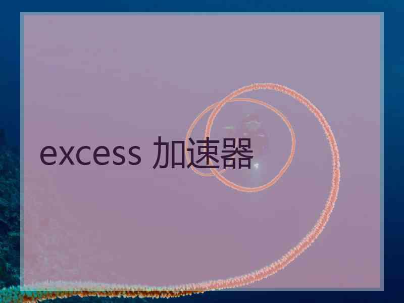 excess 加速器