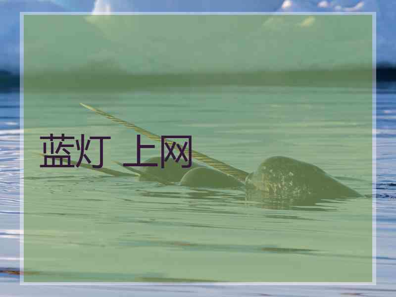 蓝灯 上网
