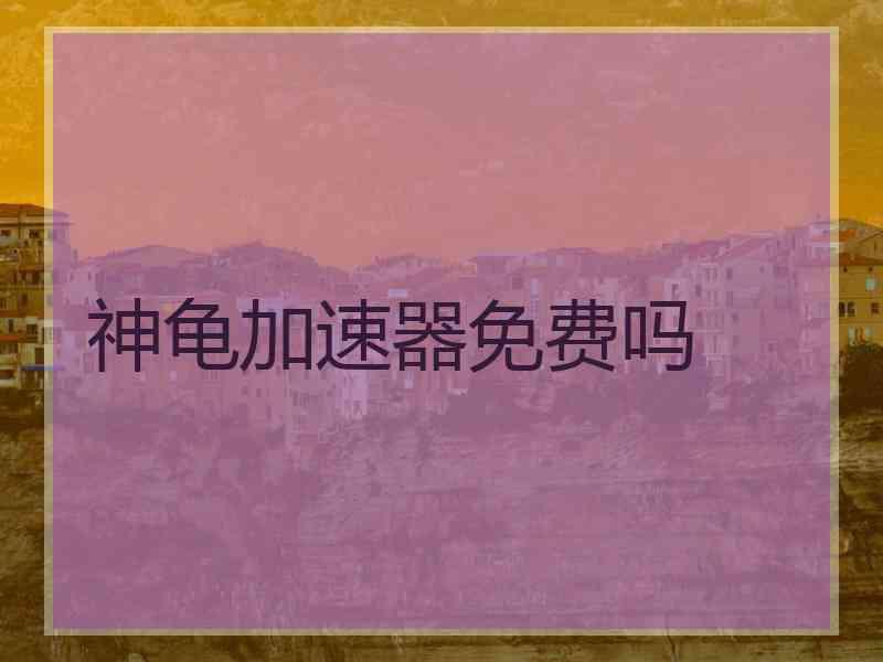 神龟加速器免费吗