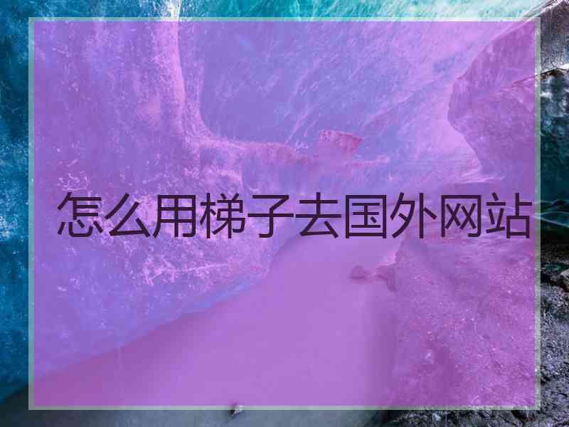怎么用梯子去国外网站