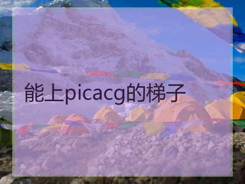 能上picacg的梯子