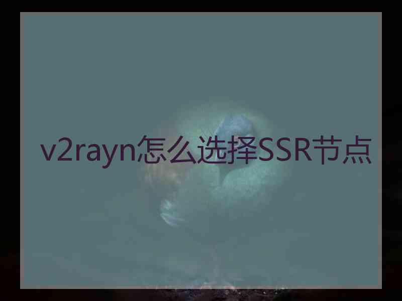 v2rayn怎么选择SSR节点