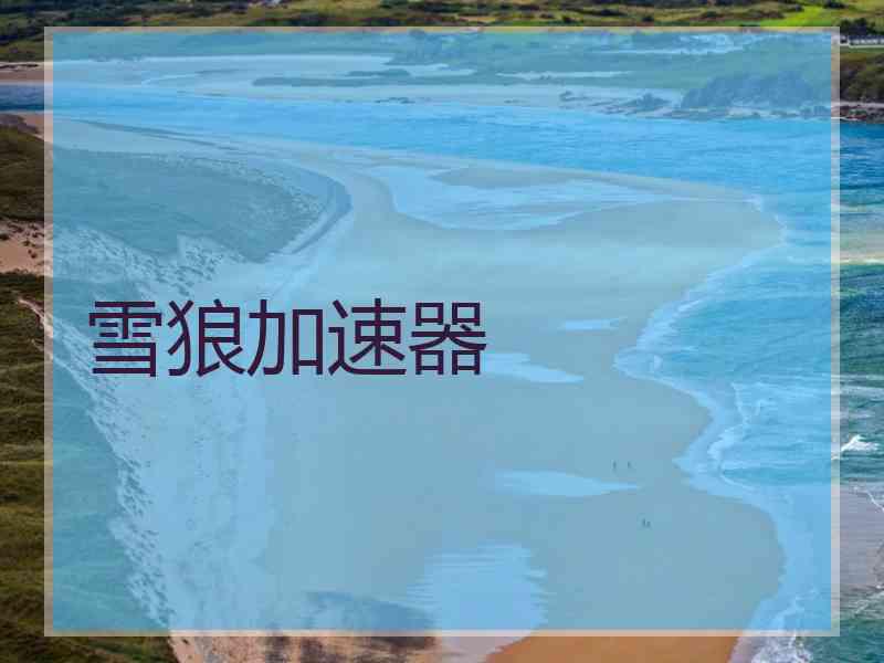 雪狼加速器
