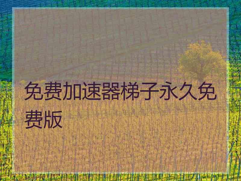 免费加速器梯子永久免费版