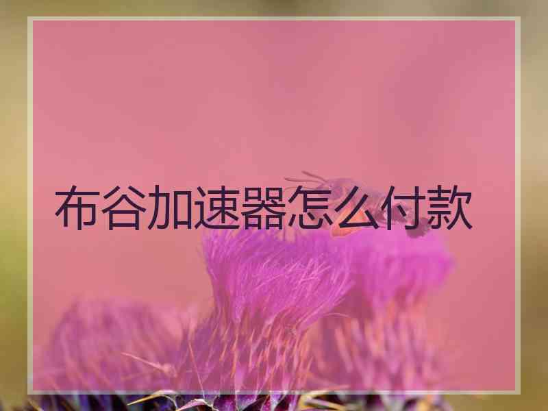 布谷加速器怎么付款