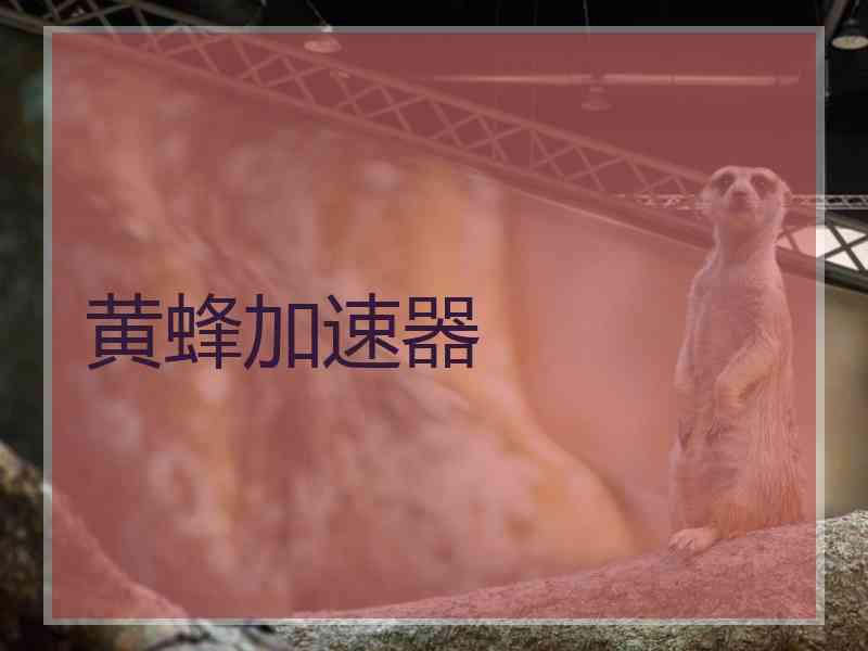 黄蜂加速器
