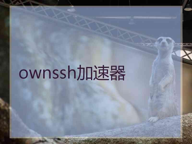 ownssh加速器